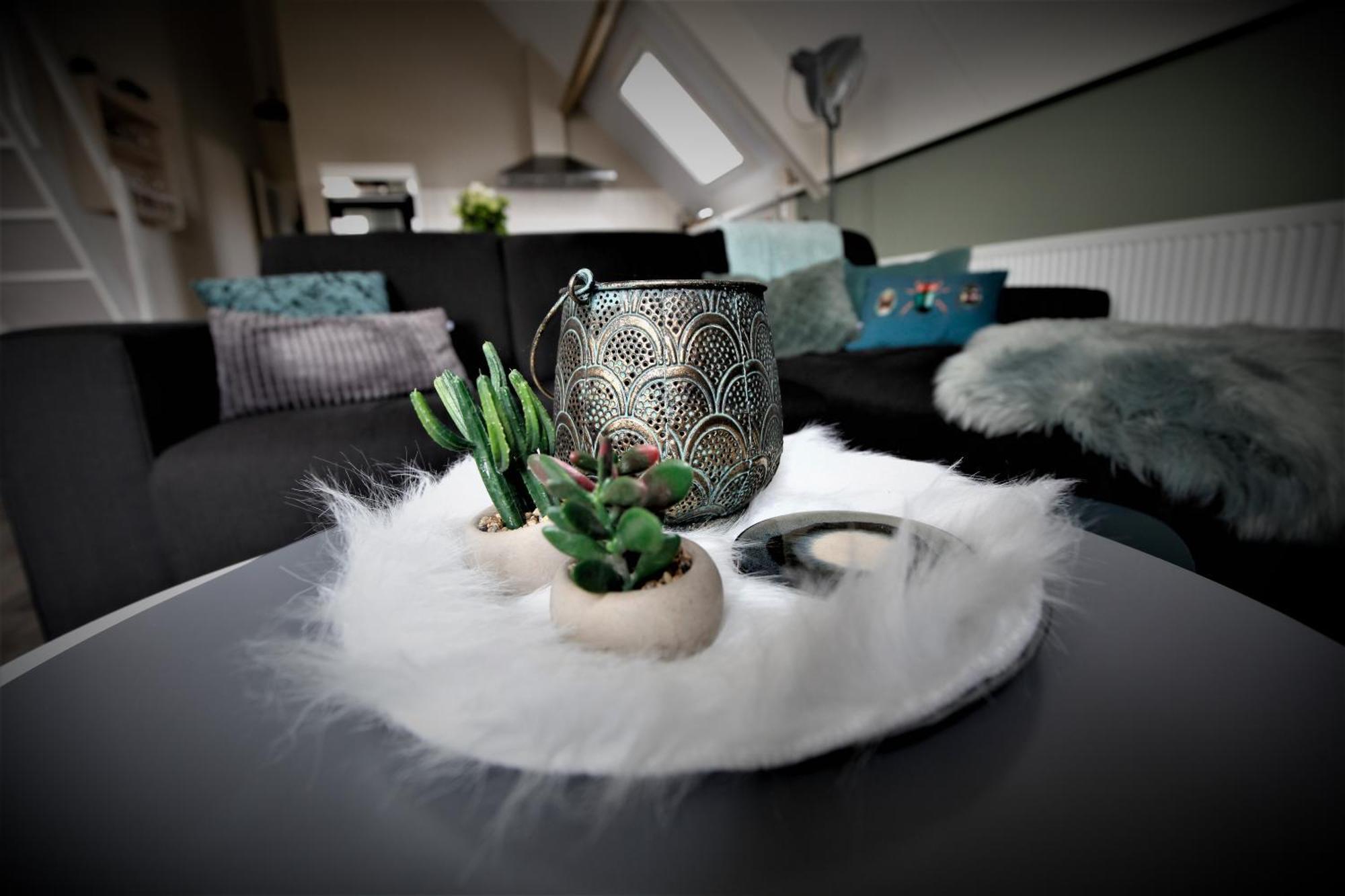 B&B Zaligheid Zwaluwe Dış mekan fotoğraf
